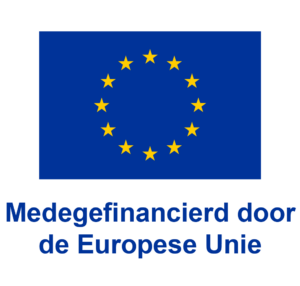 EU logo, Medegefinancierd door de Europese Unie